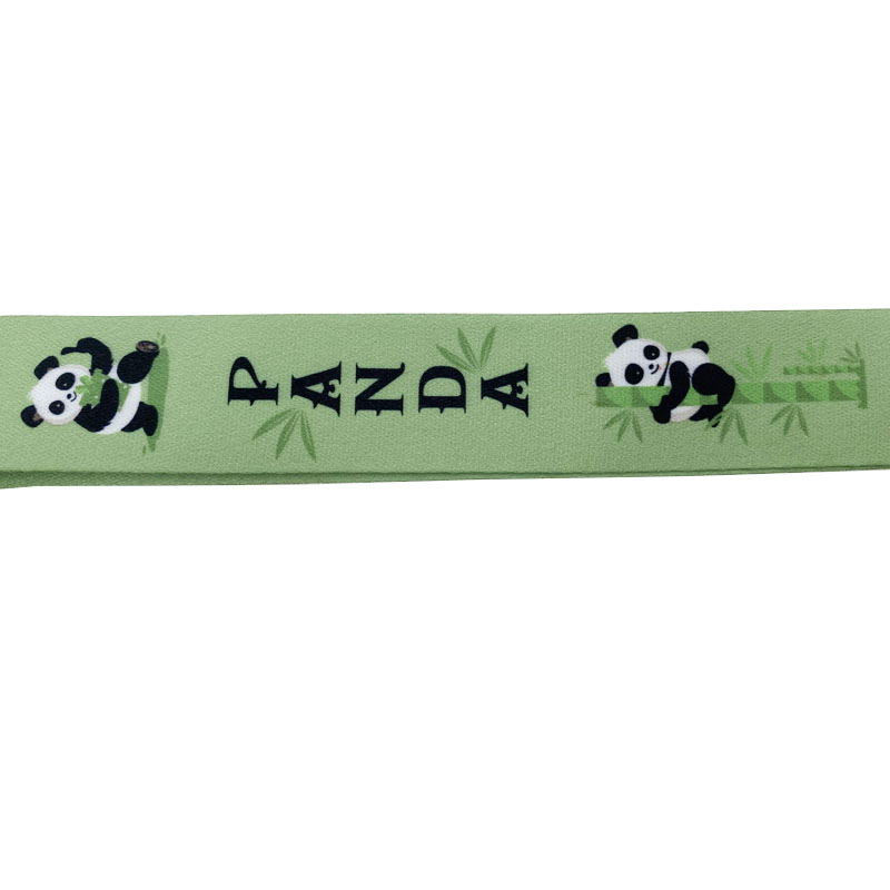 Fashion Customizable Lanyard for Promotion Gift